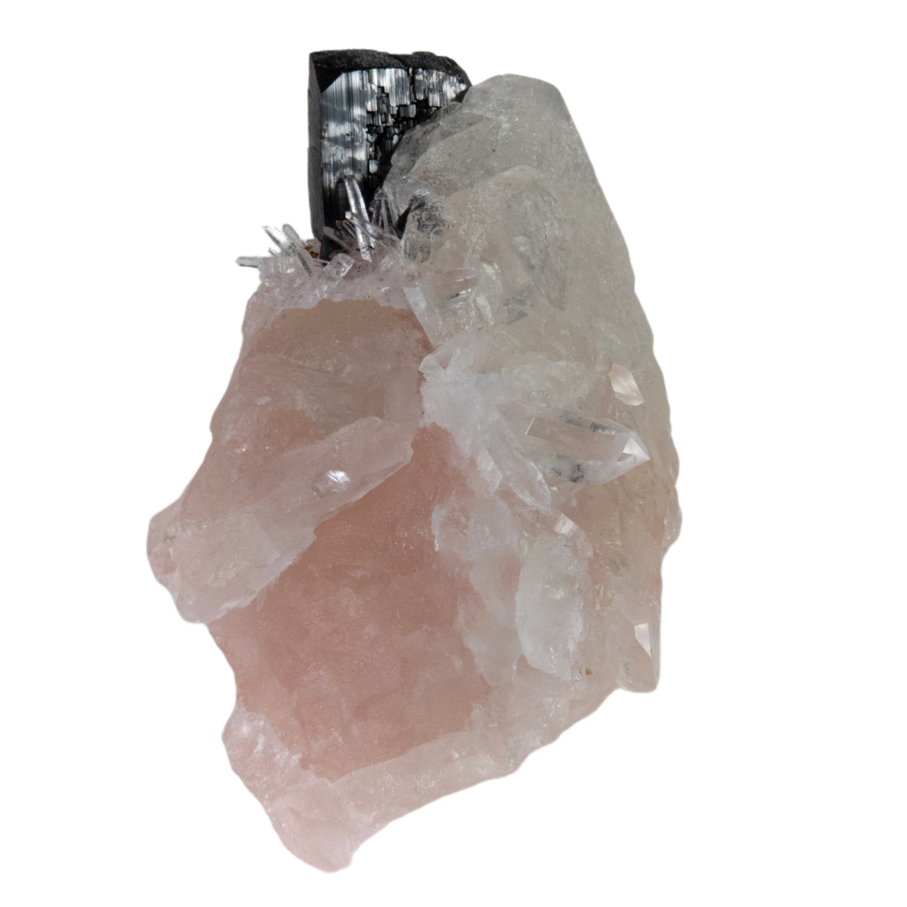 A superior combination specimen featuring a lustrous black hübnerite crystal with delicate quartz needles perched on pink-to-white zoned fluorite. The rare specimen from Peru's Mundo Nuevo mine displays satiny etched fluorite surfaces, pristine crystal development, and represents a unique worldwide mineral association.