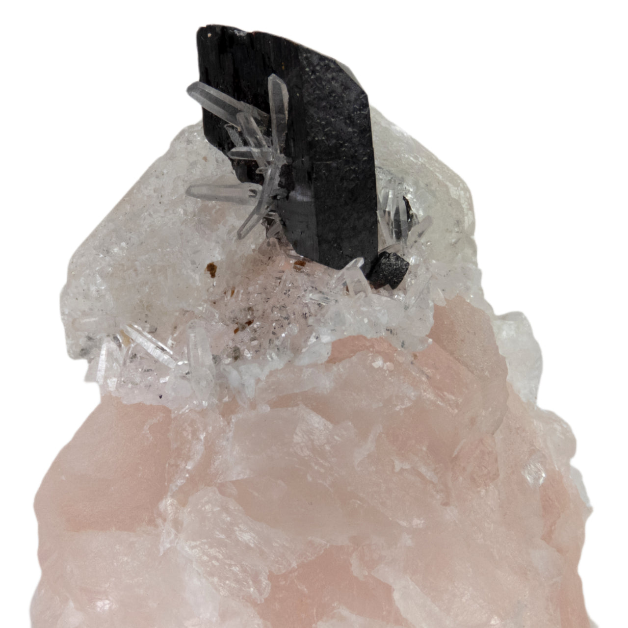 A superior combination specimen featuring a lustrous black hübnerite crystal with delicate quartz needles perched on pink-to-white zoned fluorite. The rare specimen from Peru's Mundo Nuevo mine displays satiny etched fluorite surfaces, pristine crystal development, and represents a unique worldwide mineral association.