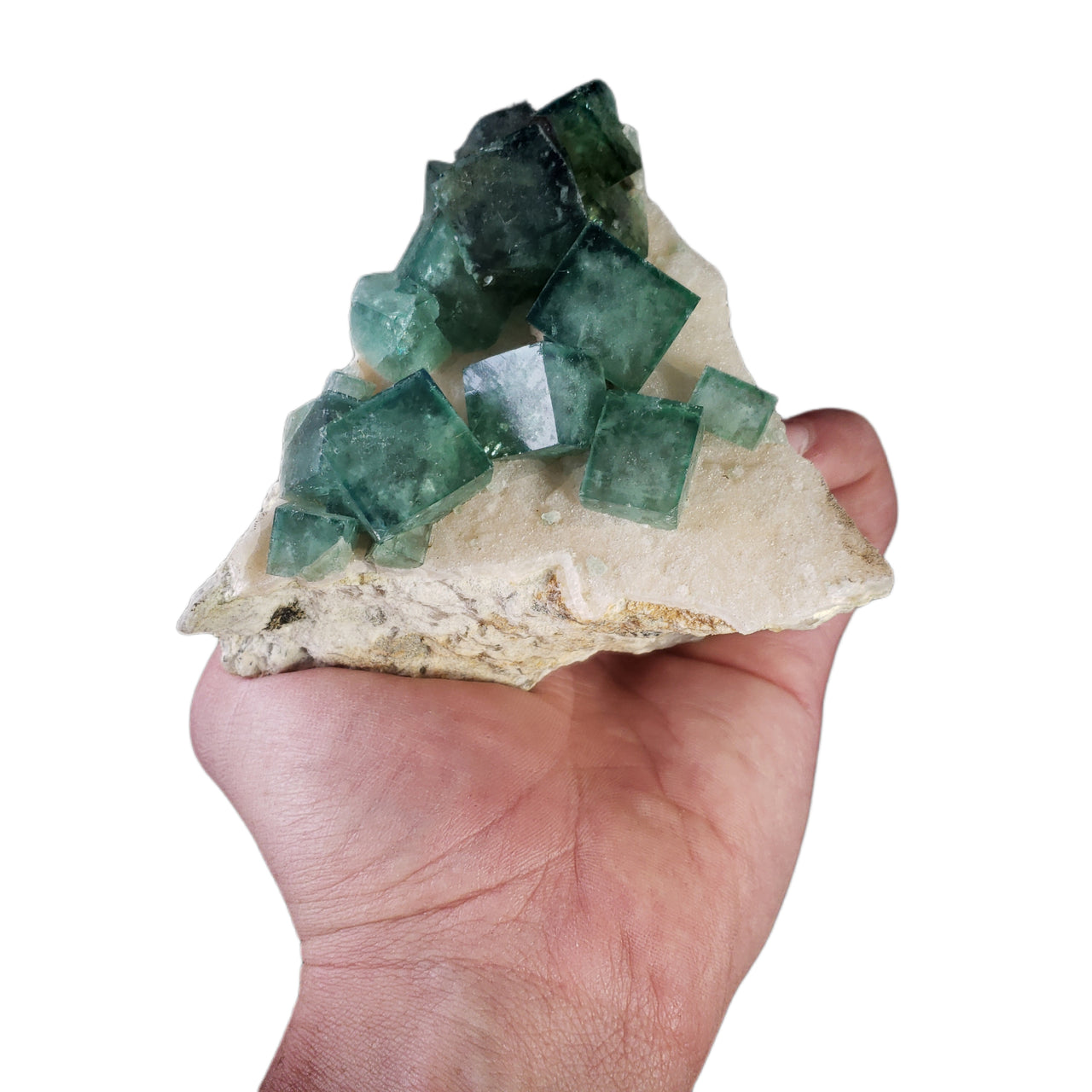 Exceptional green fluorite specimen featuring sharp, transparent cubic crystals up to 2 cm perched on white pegmatite matrix from Madagascar. The well-formed cubes show excellent luster and color zonation, exhibiting strong purple fluorescence under UV light. The aesthetically arranged crystals make this a superior example from this locality.