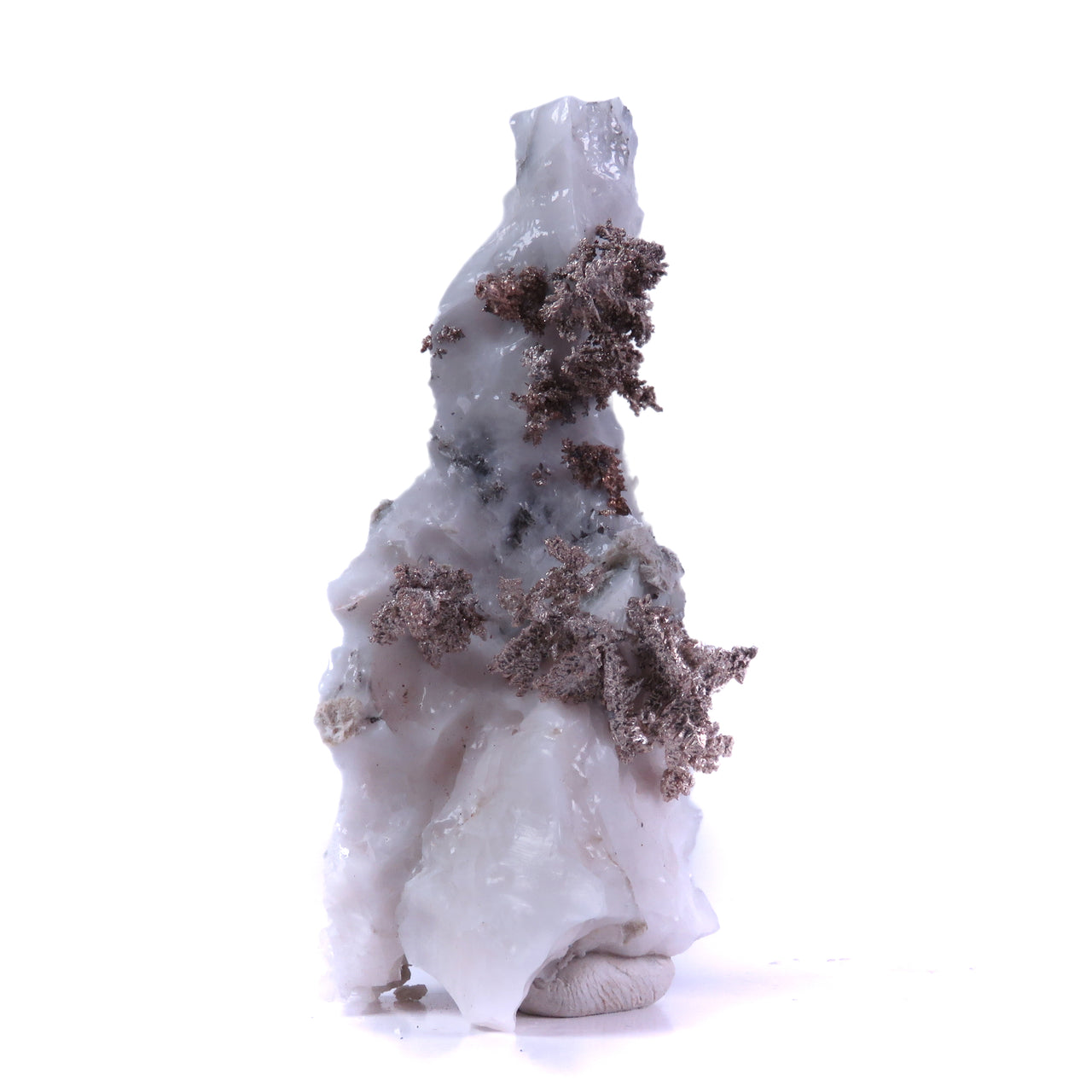 A superb specimen featuring sculptural white calcite growth decorated with crystalline silver in delicate leaf-like formations creating striking natural contrast. The 12 cm piece from Morocco's Imiter Mine displays dramatic vertical orientation, exceptional aesthetics, and exhibits vivid red fluorescence under UV light.