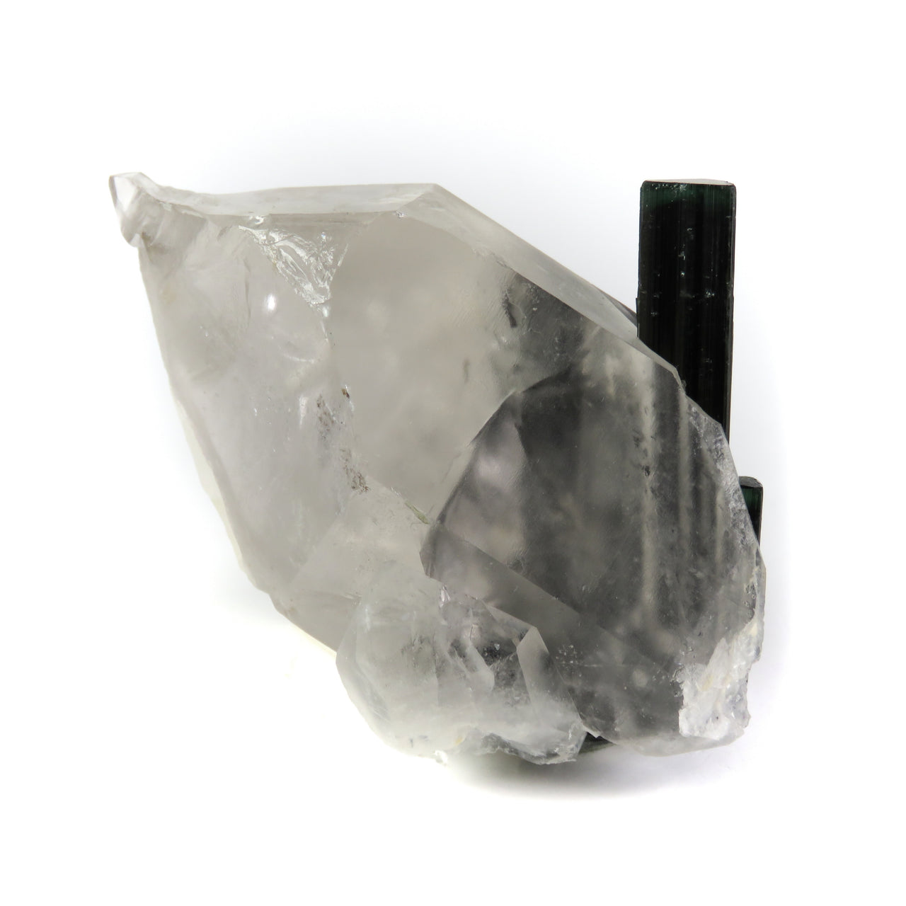 A large, translucent reverse scepter quartz crystal containing embedded blue-green tourmaline crystals. The complex quartz formation shows rehealed surfaces and a pristine termination, with patches of white albite visible. The tourmaline crystals can be seen through the clear portions of the host quartz, creating a striking inclusion specimen.