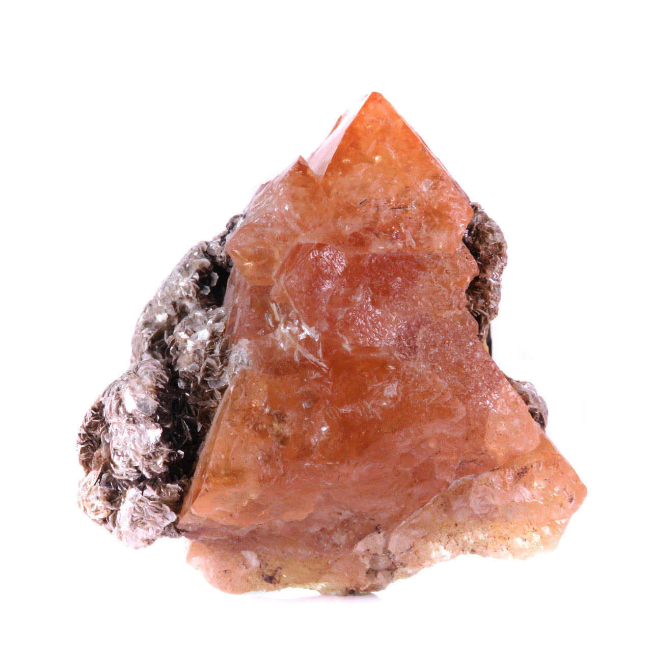 SCHEELITE WITH MUSCOVITE